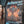 Load image into Gallery viewer, Midnight Ride - Wolf & Iron