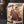 Load image into Gallery viewer, Rough Rider's Roast - Wolf & Iron