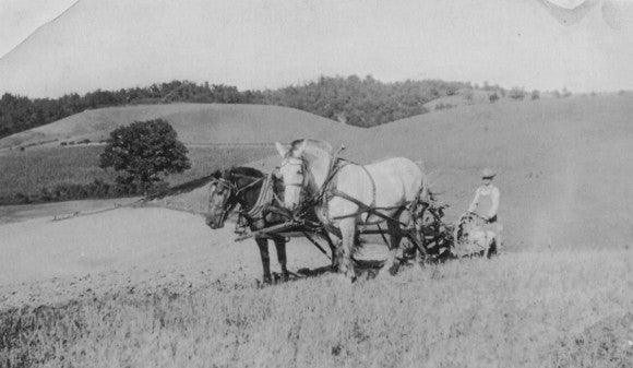 Fireside Topic: What is your 5-10 year plan? - Wolf & Iron