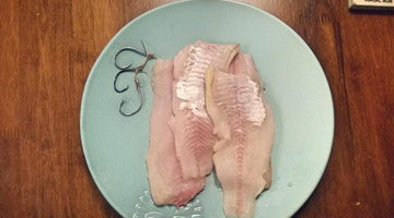 How to Easily Fillet a Catfish - Wolf & Iron