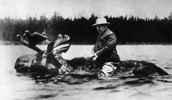 Mastering Your Mood - Wolf & Iron