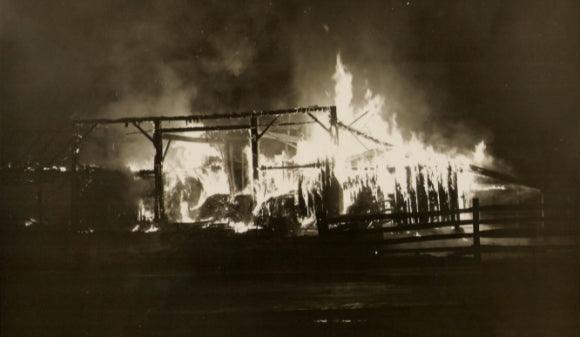 Routine Will Kill You - Wolf & Iron