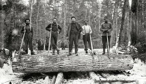 The American Rustics - Wolf & Iron