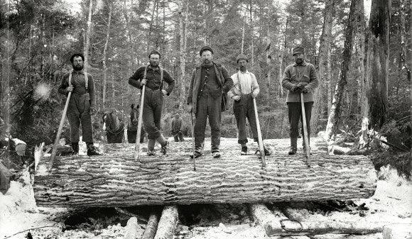 The American Rustics - Wolf & Iron