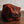 Load image into Gallery viewer, Duck Canvas Dopp Kit - Wolf &amp; Iron
